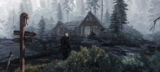 Этот мод добавит в The Witcher 3: Wild Hunt множество новых анимаций различных действий