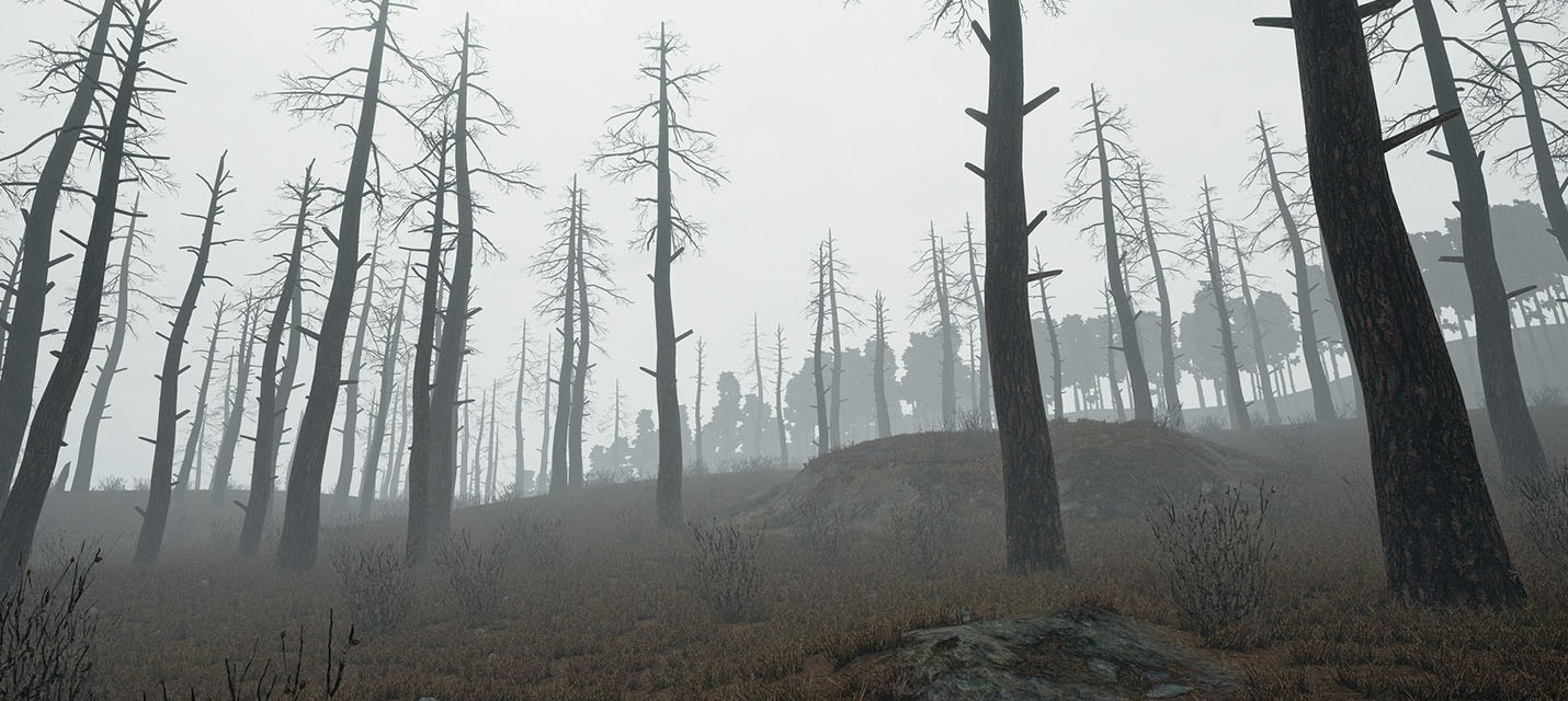 Как выглядит туман в PlayerUnknown’s Battlegrounds