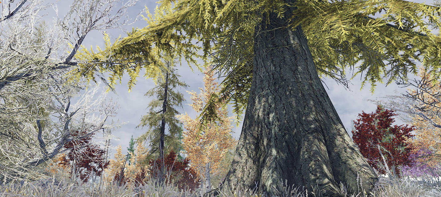 Моддер использует реальные фотографии для воссоздания лесов в TES V: Skyrim