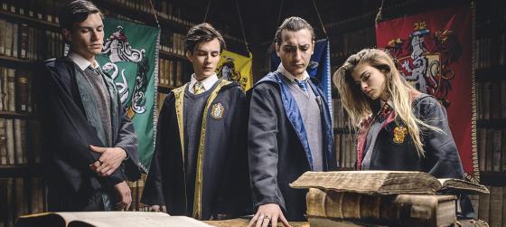 Voldemort: Origins of the Heir, фанатский приквел к Гарри Поттеру, уже доступен для просмотра