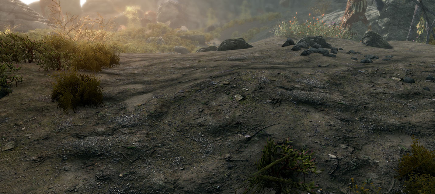 Новая версия мода для TESV: Skyrim добавляет еще больше качественных текстур ландшафта