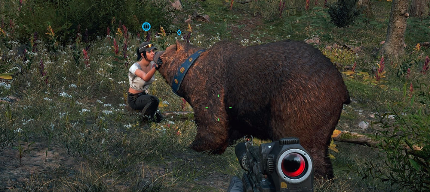 Релиз Far Cry 5 на Ближнем Востоке перенесли на начало Апреля