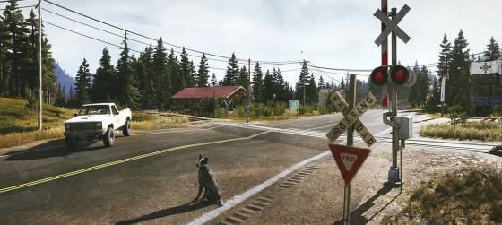В Far Cry 5 тоже масса различных деталей, на которые вы просто не обращали внимание