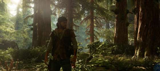 Над Days Gone работает более 100 разработчиков