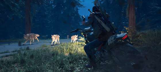 Сравнение альфа-версии Days Gone и демонстрации с E3 2018