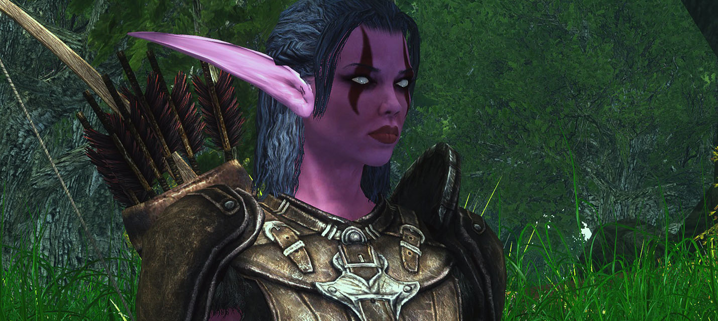Моддер воссоздает весь мир Warcraft в The Elder Scrolls V: Skyrim