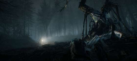 Грани безумия в новом трейлере хоррора Blair Witch