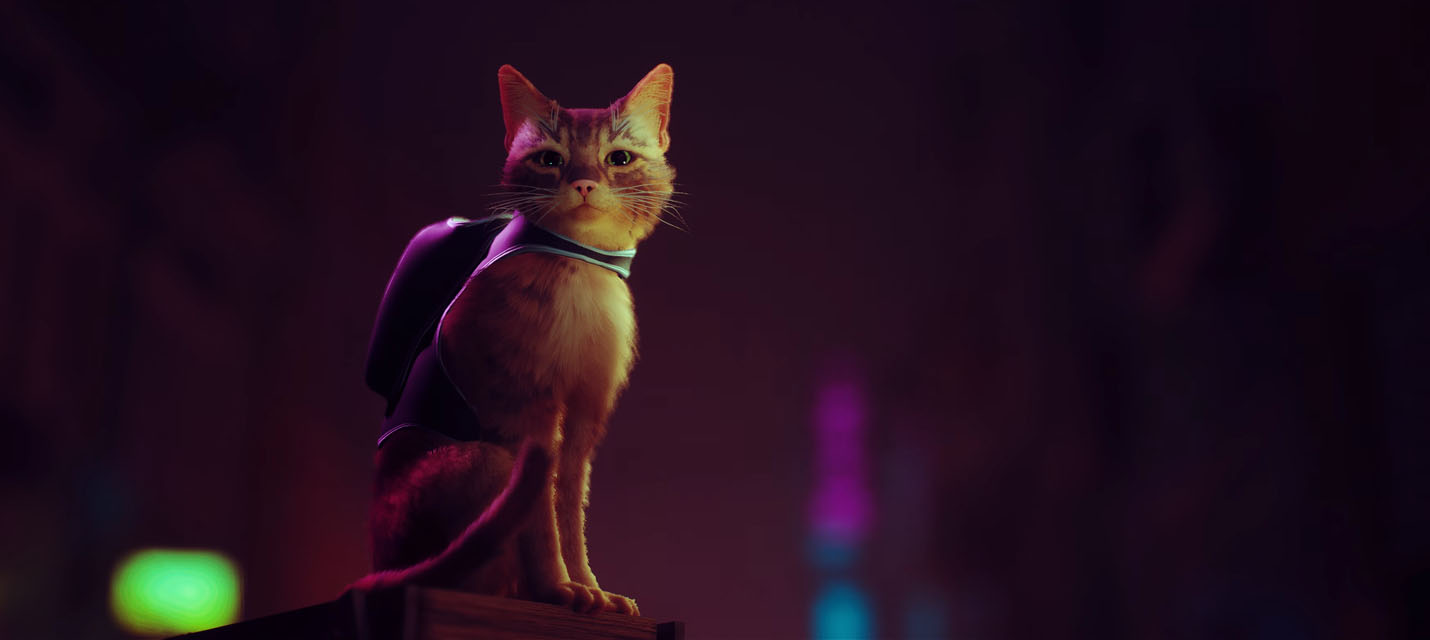 [E3@Home] Анонсирован Stray - стильный симулятор бездомного кота