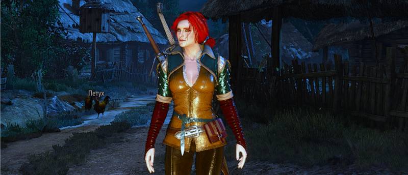 Благодаря этому моду Вы можете перепройти The Witcher 3 за Йен, Цири, Шани или Трисс