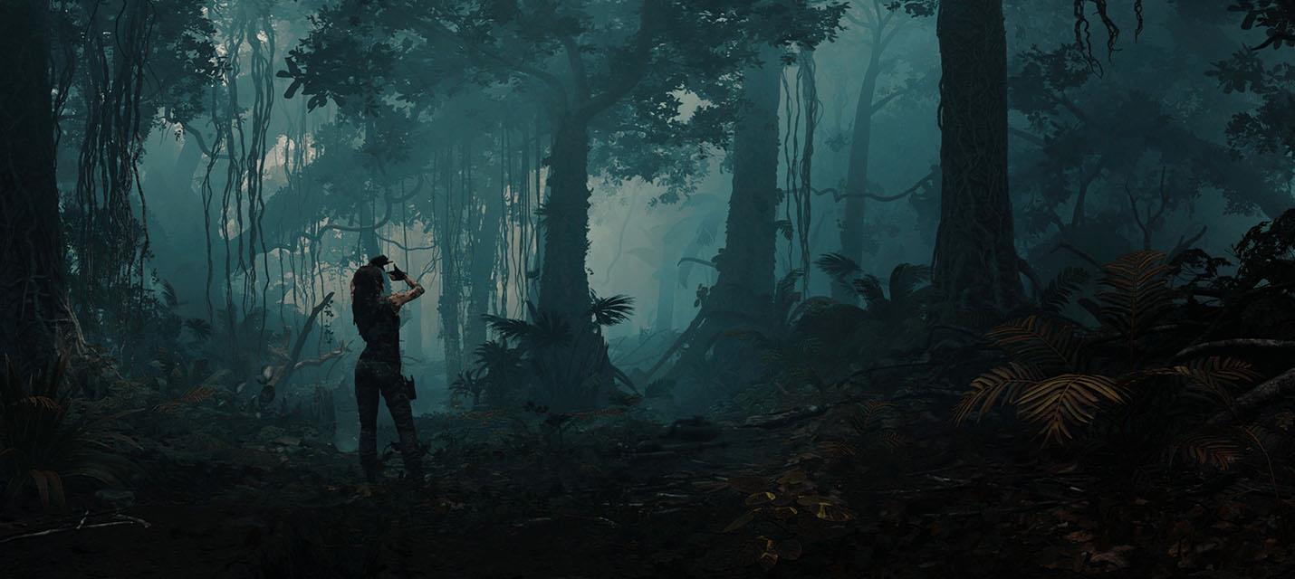Следующую игру серии Tomb Raider не анонсируют в ближайшем будущем