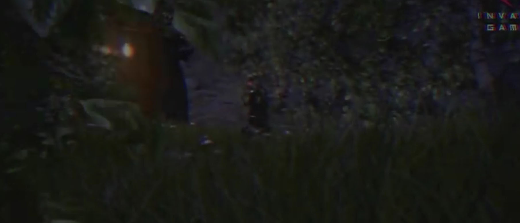 Invader Games анонсировали новый survival horror