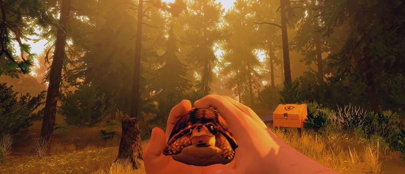4 коротких видео Firewatch