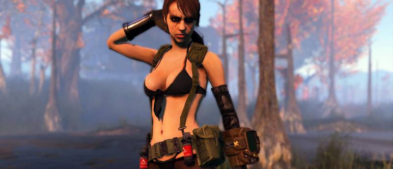 Теперь Вы можете играть за Босса или Тихоню в Fallout 4