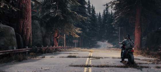 Петицию в пользу Days Gone 2 подписали почти 150 тысяч геймеров