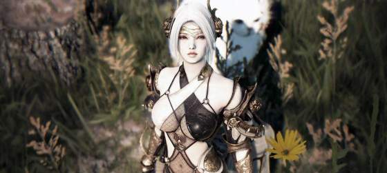 В Steam раздают ремастер Black Desert Online