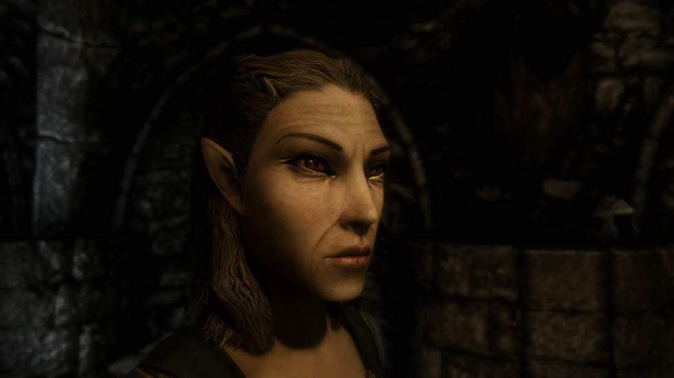 Эти моды добавляют в The Elder Scrolls V: Skyrim высокополигональные м