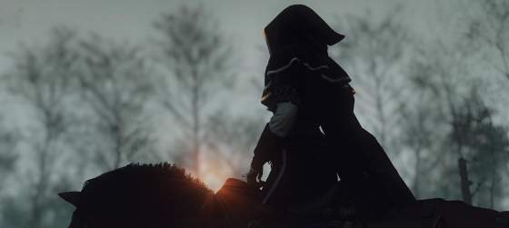 У следующих The Witcher новый руководитель разработки