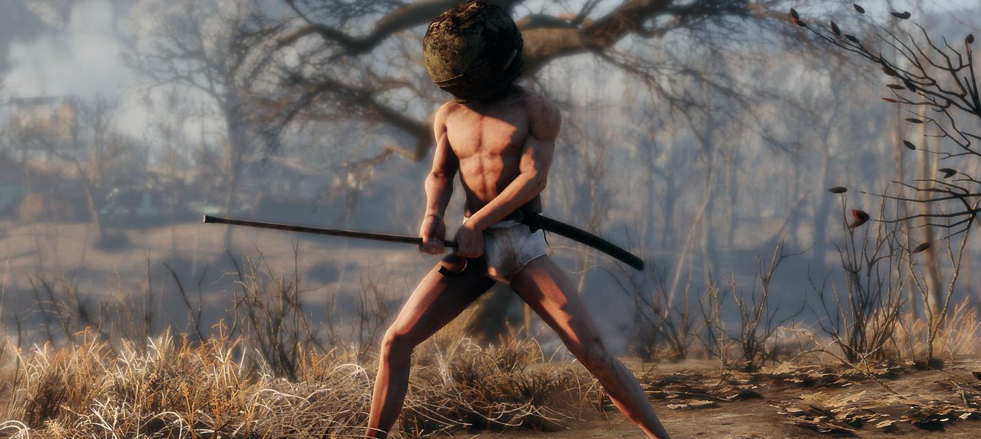 Героя комьюнити Elden Ring добавили в Fallout 4