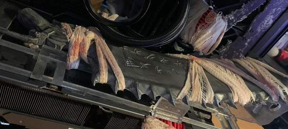 Bloodborne нет на PC, но есть PC в стиле Bloodborne