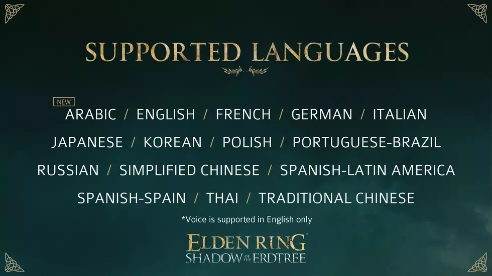 Elden Ring: Shadow of the Erdtree получит поддержку русского и ещё 14