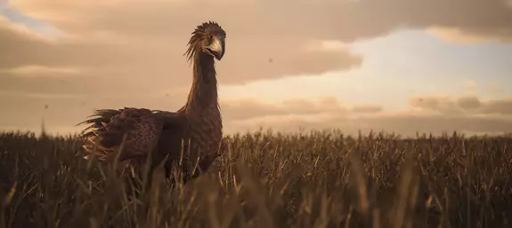 Упоминание Final Fantasy XVI заметили в профилях драйверов Nvidia