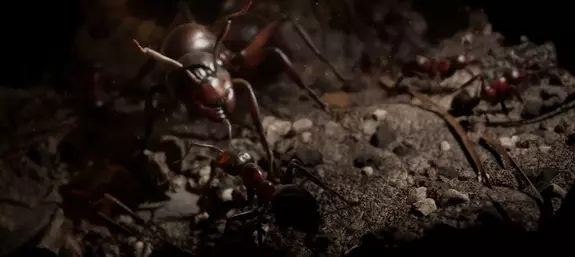 Около часа геймплея симулятора муравьиной колонии Empire of the Ants