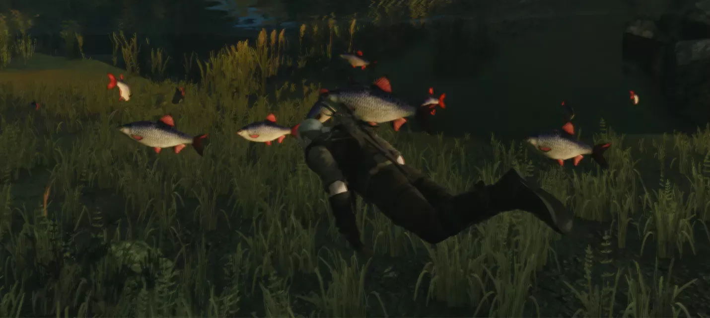 Разработчики The Witcher 3 подумывали сделать плавание реалистичным — Геральту пришлось бы снимать экипировку