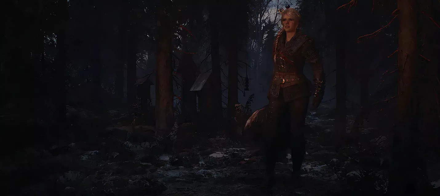 CD Projekt RED намекнула на мультиплеер в The Witcher IV во время разговора с инвесторами