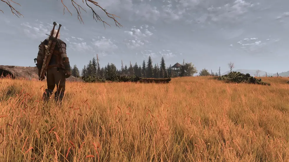 Для The Witcher 3 вышел масштабный мод, полностью перерабатывающий траву во всех регионах