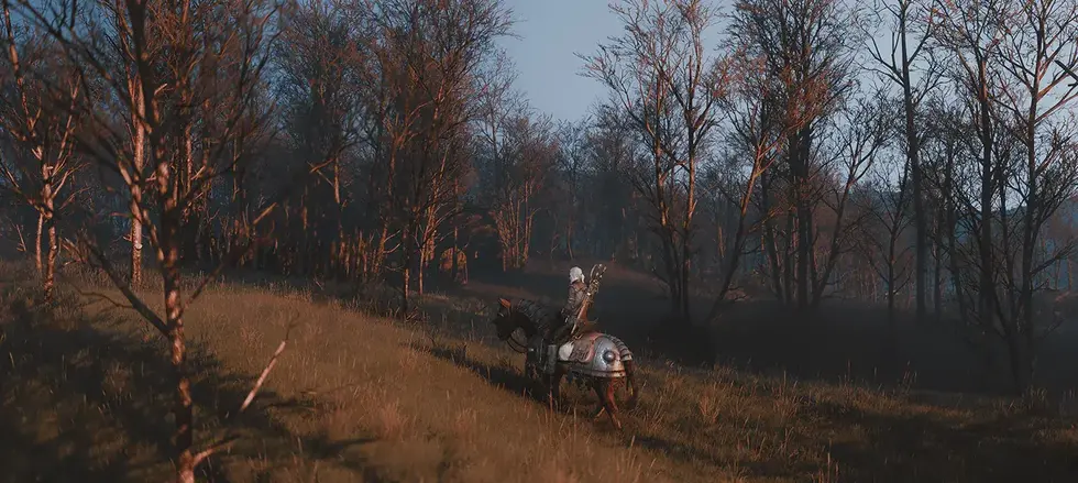 Фанаты уже нашли возможное место действия дополнения The Witcher 3: Songs of the Past