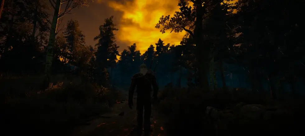 Самые редкие квесты в The Witcher 3: Wild Hunt проходит всего около 10% игроков