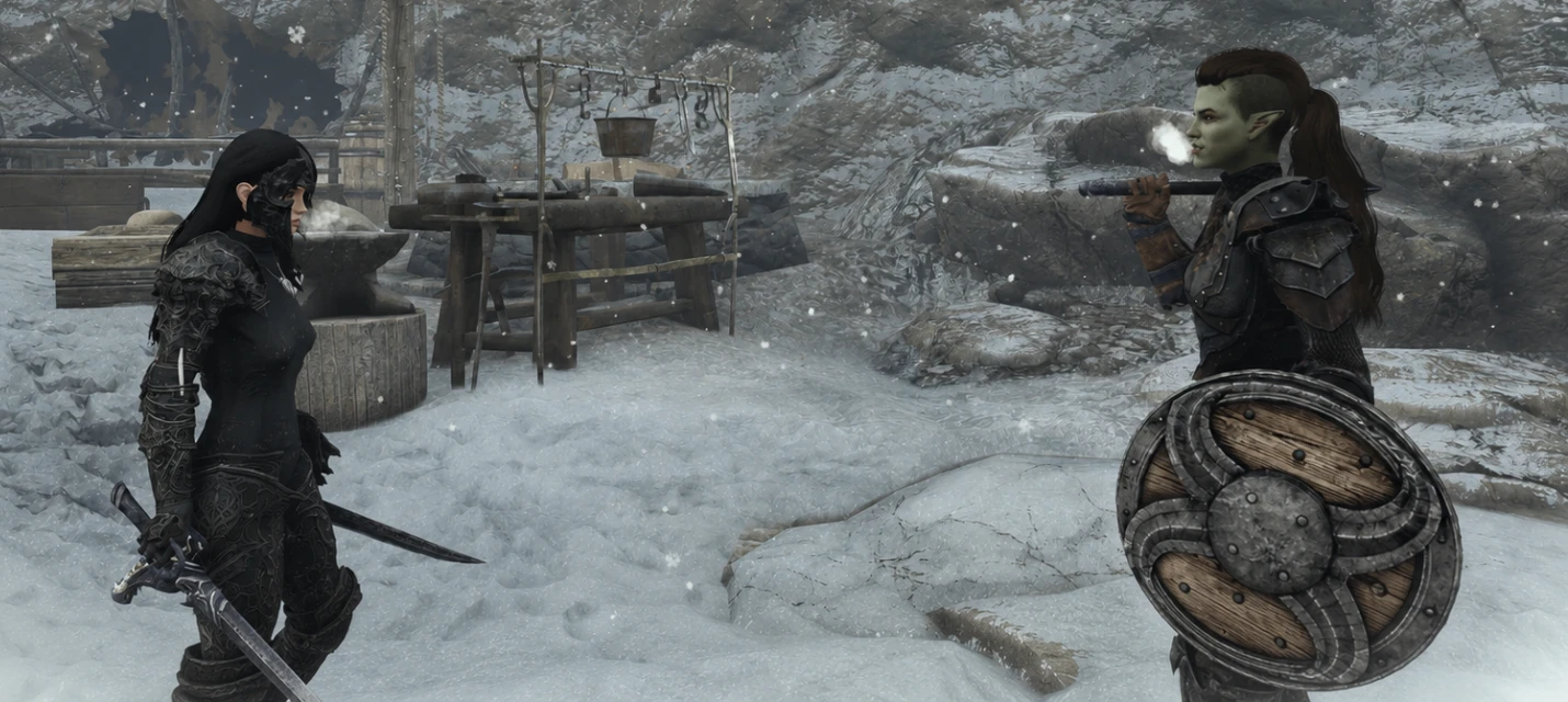 Моддер добавил в TES V: Skyrim кинематографическую камеру во время диалогов