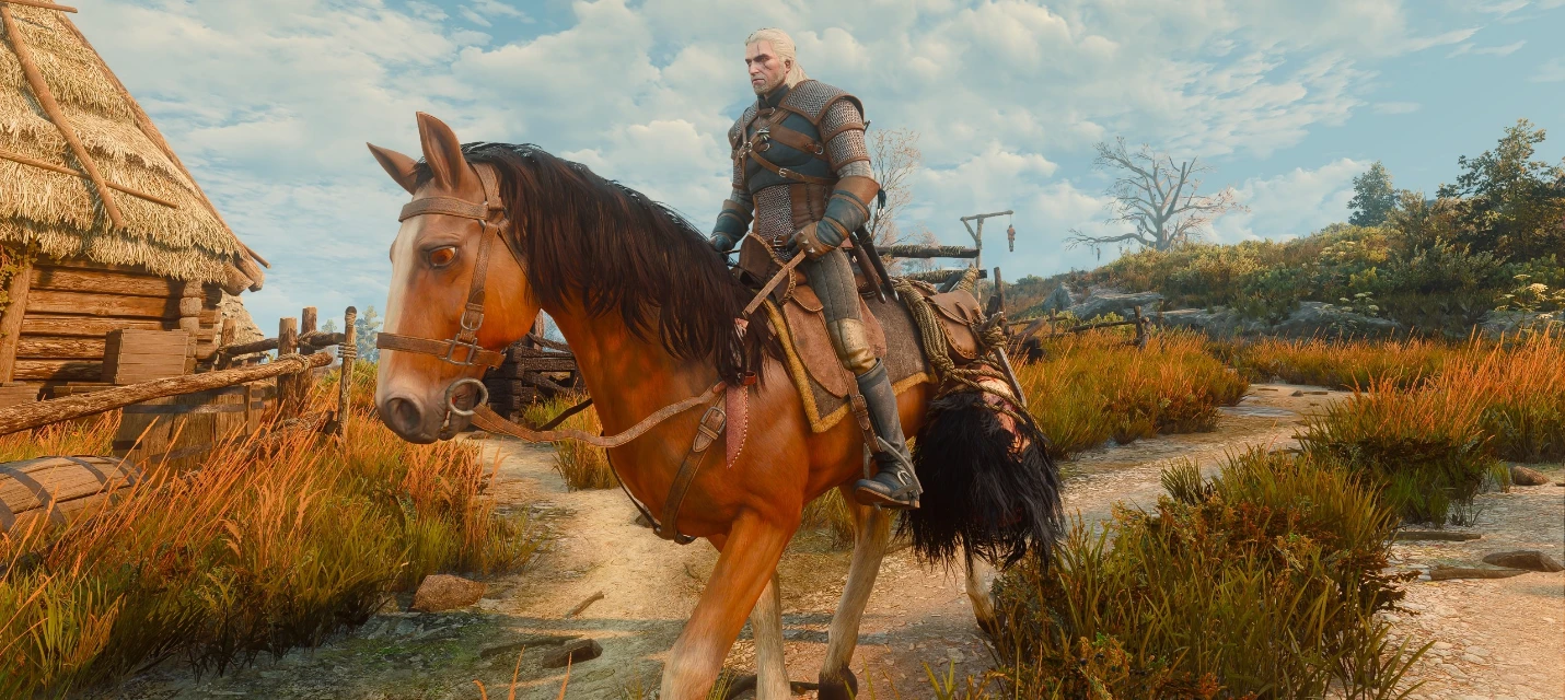 Как использовать трансмогрификацию в ремастере The Witcher 3: Wild Hunt