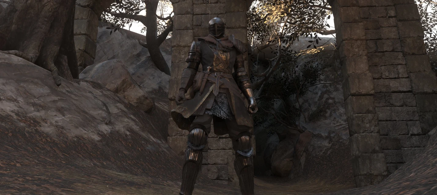 Для Dark Souls II вышел мод Seamless Co-Op с бесшовным кооперативом на шесть человек