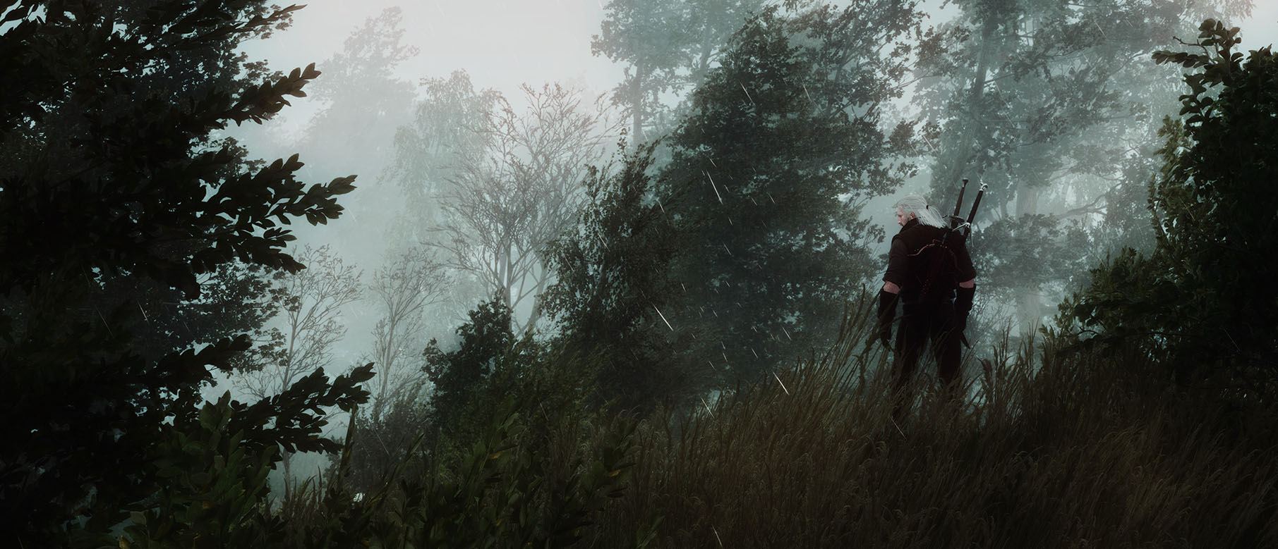 Гайд The Witcher 3: Blood and Wine - Сражение с Бруксой