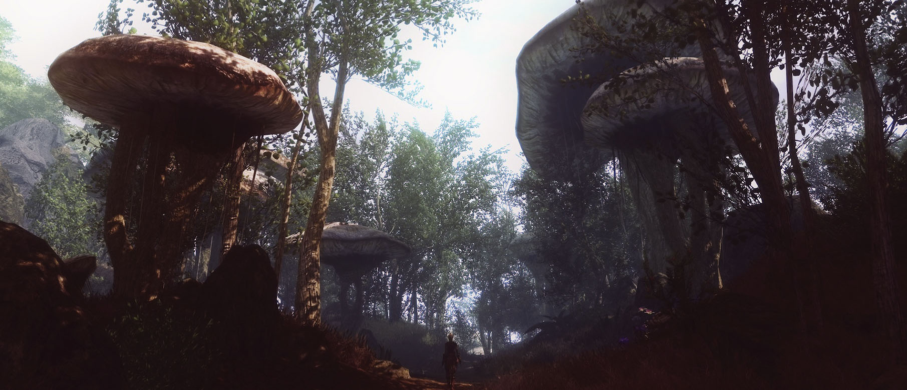 Состояние дел в Skywind на Июнь