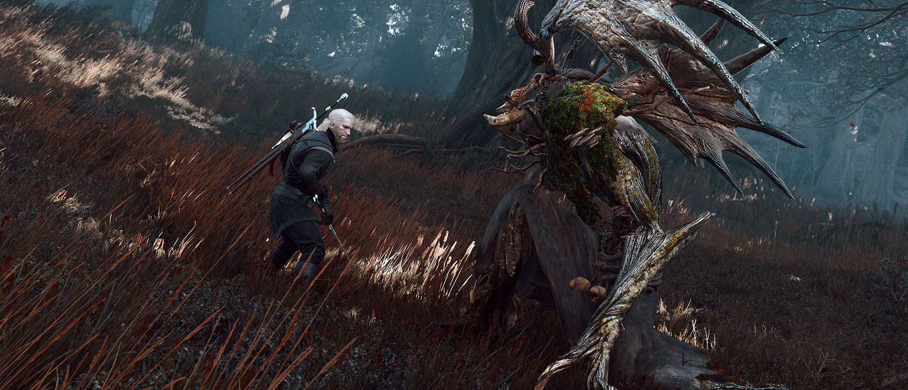 Шикарный 4K таймлапс The Witcher 3 в Туссенте