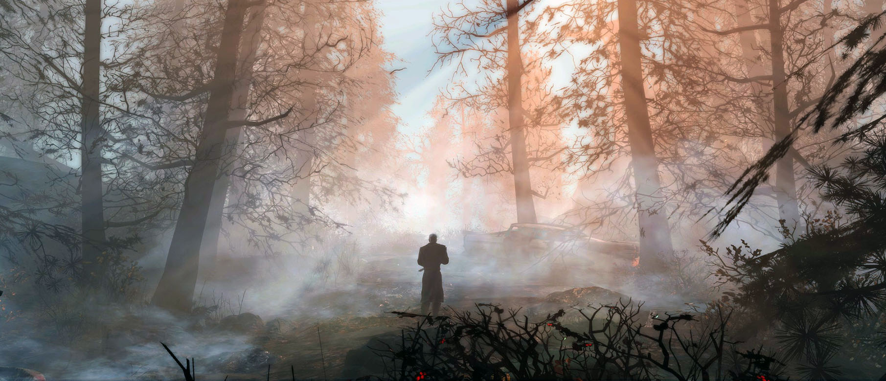 Far Harbor, DLC для Fallout 4, использует ворованный контент