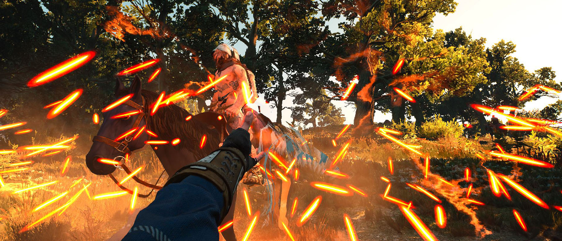The Witcher 3: Wild Hunt с видом от первого лица это не плохая идея