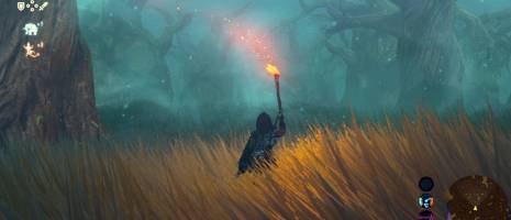 Сравнение Wii U и Switch версий Legend of Zelda: Breath of the Wild