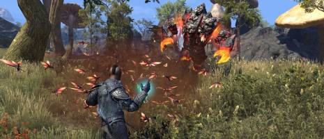 Оформившие предзаказ игроки смогут начать играть в The Elder Scrolls Online: Morrowind 22 Мая
